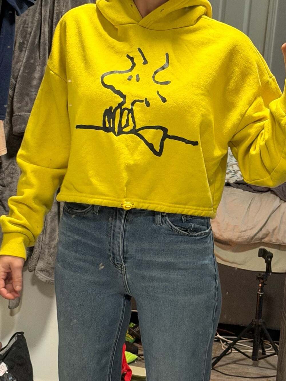 Peanuts Woodstock Graphic Cropped Hoodie Yellow Size M